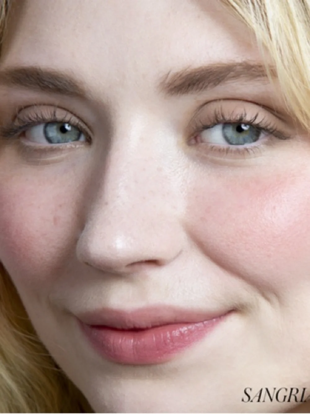 RMS ReDimension Hydra Powder Blush in Sangria